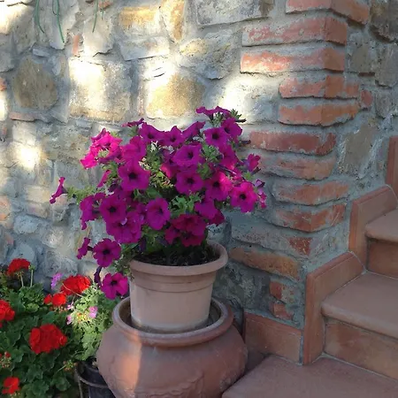 La Vecchia Quercia *