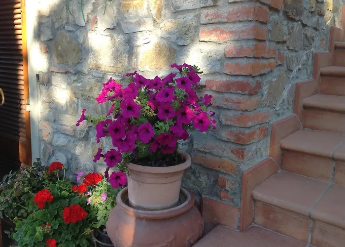 La Vecchia Quercia *