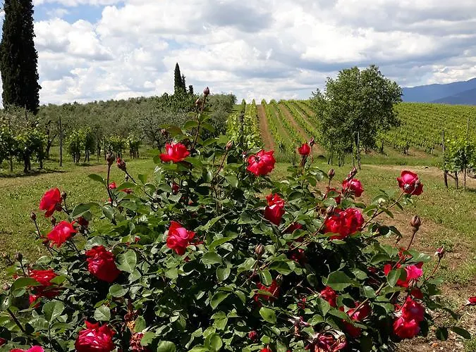 La Vecchia Quercia Lantgård *