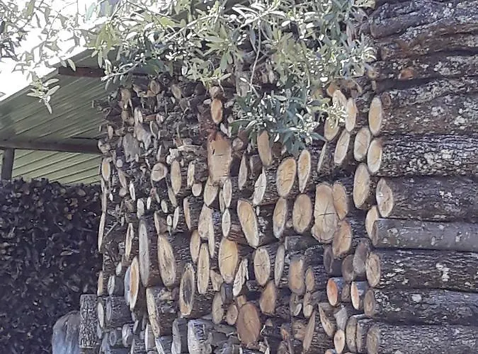 Lantgård La Vecchia Quercia Pergine Valdarno