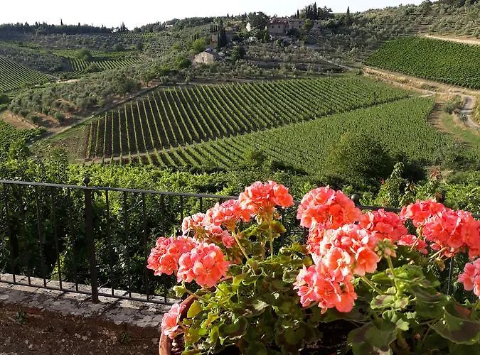 Lantgård La Vecchia Quercia