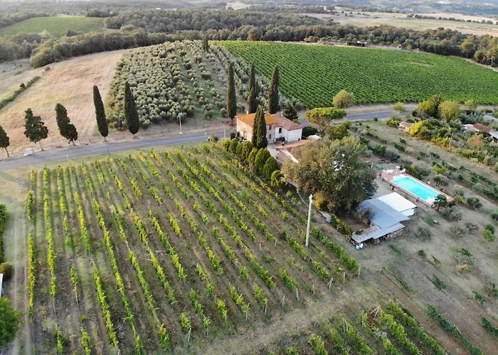 La Vecchia Quercia *