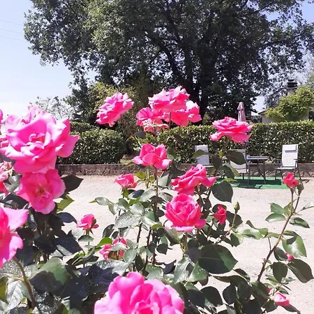 La Vecchia Quercia * Pergine Valdarno