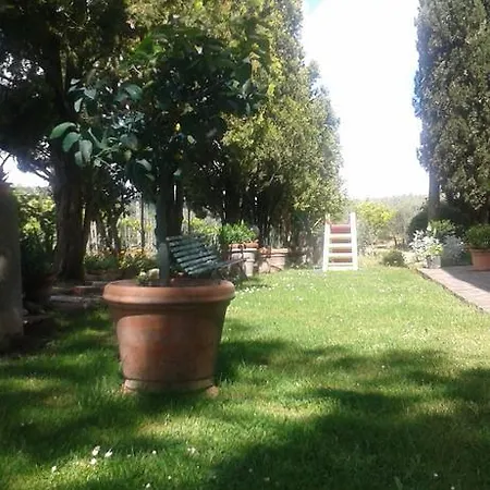 La Vecchia Quercia *