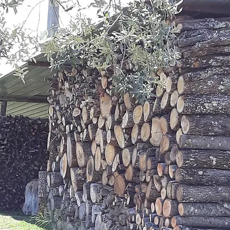 Κατάλυμα σε φάρμα La Vecchia Quercia Pergine Valdarno