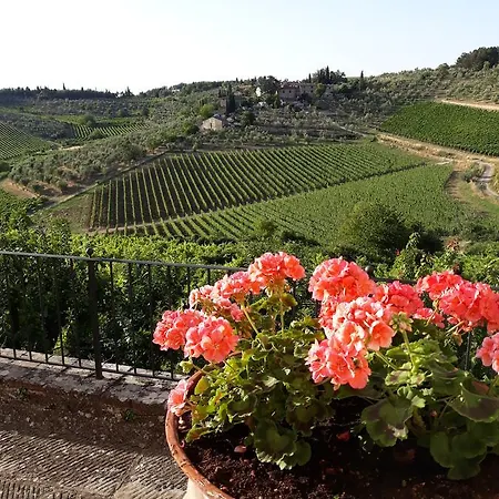 Feriegård La Vecchia Quercia