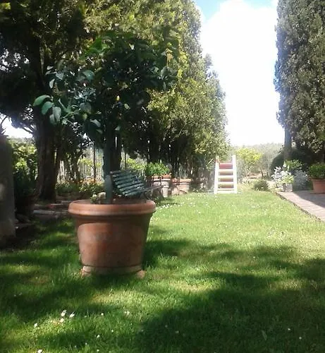 La Vecchia Quercia *