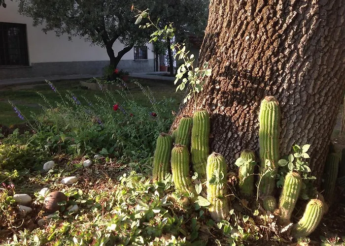 La Vecchia Quercia Feriegård *