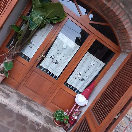 La Vecchia Quercia *