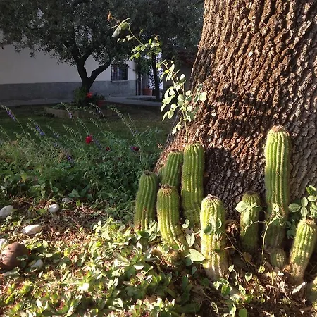 La Vecchia Quercia בית חווה *